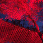 花貫渓谷のもみじと汐見吊り橋ライトアップ